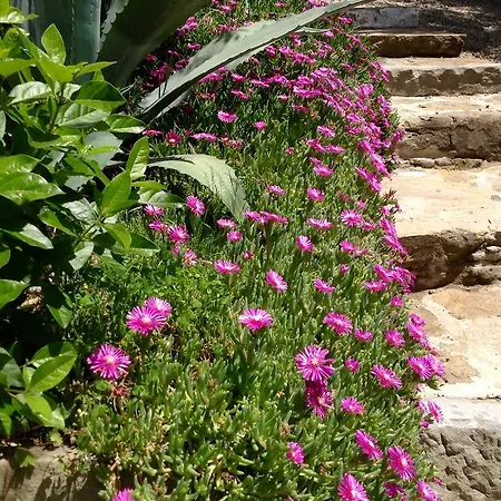 Borgo Dolci Colline Castiglion Fiorentino
